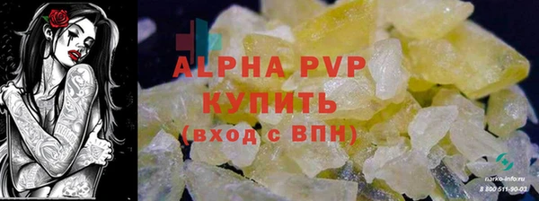 СК Горно-Алтайск